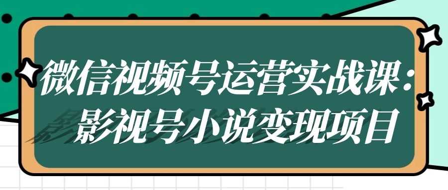 微信视频号运营实战课：影视号小说变现项目