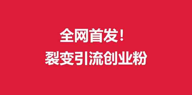 全网首发）外面收费几千的裂变引流高质量创业粉